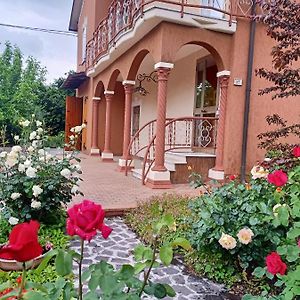 Lily - Storie Del Bosco - Bed and Breakfast San Felice sul Panaro Exterior photo