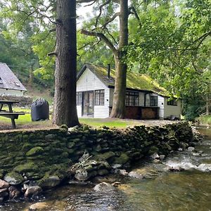 Cuckoo Cabin, Tyn Y Cwm Βίλα Eglwys-Fach Exterior photo