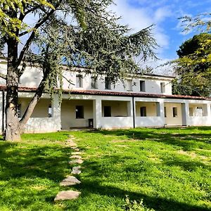 Beb La Nociaia Bed and Breakfast Tavullia Exterior photo