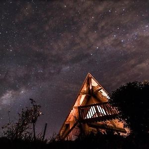 Eclectic Luxurious 70S Mansion Βίλα Ουέλλινγκτον Exterior photo