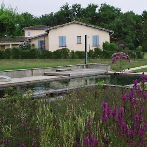 La Maison De Lestang Ξενοδοχείο Montbeton Exterior photo