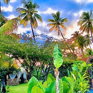 Majo Lounge Dans Un Jardin Tropical A 5 Min De La Mer Caraibe Βίλα Saint-Pierre Exterior photo