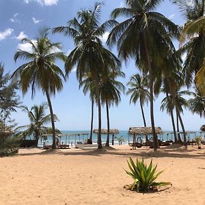 Upali Beach Surf Resort & Cafe Arugam Bay Exterior photo