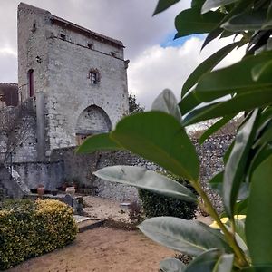 La Maison Du Prince De Conde Ξενοδοχείο Charroux-dʼAllier Exterior photo