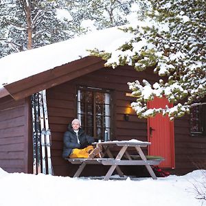 Sjodalen Hyttetun Og Camping Βίλα Stuttgongfossen Exterior photo