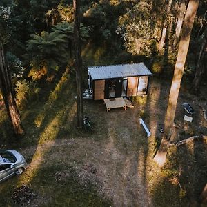 Quantum Field By Tiny Away Βίλα Toolangi Exterior photo