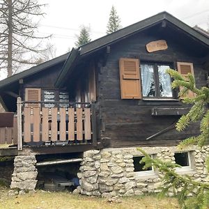 Entire Cozy Chalet In St-Cergue - 30 Min From Geneva Βίλα Saint-Cergue Exterior photo