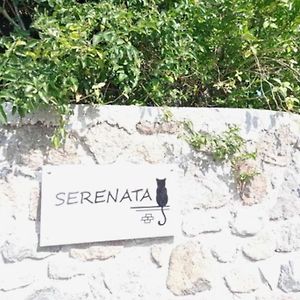 Serenata Βίλα Αίγινα Exterior photo