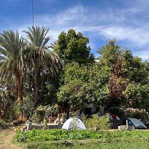 Salatoos Mango Garden And Guesthouse Ασουάν Exterior photo