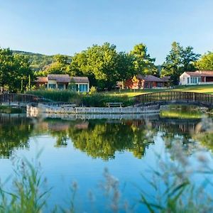 L'Espinet Vacances Ξενοδοχείο Quillan Exterior photo