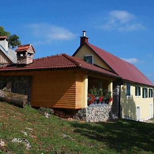 Holiday House With A Parking Space Zuta Lokva, Senj - 22686 Βίλα Brinje Exterior photo