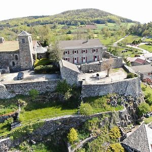 Gite Familial Avec Cour, Ping-Pong, Proche Lyon Et Clermont-Ferrand - Fr-1-582-330 Βίλα Mezeres Exterior photo