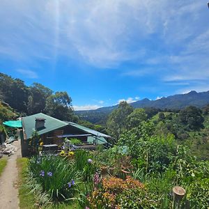 Eco Horqueta Bed and Breakfast Boquete Exterior photo