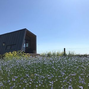 Slapen Op De Dijk - Tiny House Διαμέρισμα Kraggenburg Exterior photo