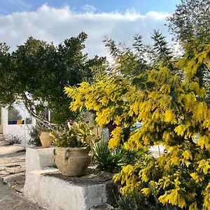 Syconium Trullo And Lamia Gea Charme And History Ξενοδοχείο Ostuni Exterior photo