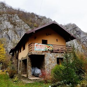 Casa Artemi Ξενοδοχείο Remeţi Exterior photo