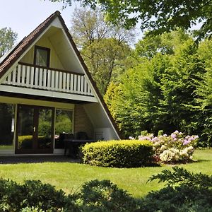 Summio Bungalowpark Het Hart Van Drenthe Ξενοδοχείο Zwiggelte Exterior photo