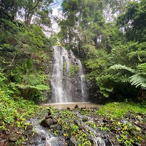 Nimbin Waterfall Retreat Ξενοδοχείο Exterior photo