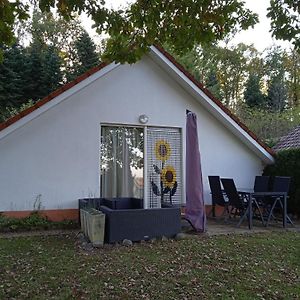 Maisonnette Avec Piscine Βίλα Daumazan-sur-Arize Exterior photo