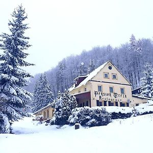 Penzion Tereza Ξενοδοχείο Telnice Exterior photo