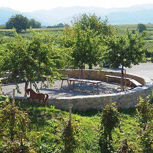 Privatweingut Schmidt Διαμέρισμα Heitersheim Exterior photo