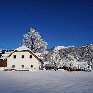 Ferien Am Land - Waldbauer Διαμέρισμα Rossleithen Exterior photo