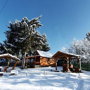 Galagonya Vendeghaz-Hegyvideki Szallashely Βίλα Salgótarján Exterior photo