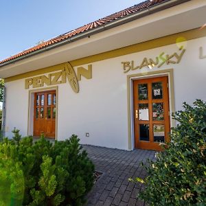 Penzion Blansky Les Ξενοδοχείο Dubné Exterior photo