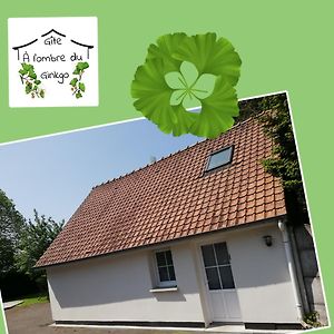 A L'Ombre Du Ginkgo Βίλα Campagne-lès-Hesdin Exterior photo