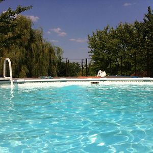 Chalet Familial Avec Piscine, Jardin Et Activites Pres Du Vignoble De Saint-Pourcain - Fr-1-489-151 Βίλα Louchy-Montfand Exterior photo