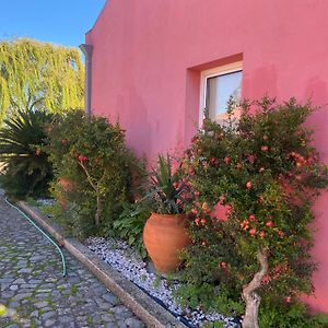 Casa Das Jardas ξενώνας Idanha-a-Nova Exterior photo