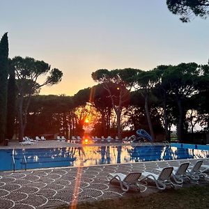 Belvedere Pineta Camping Village Γκράντο Exterior photo