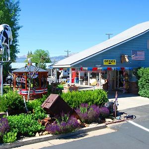 Redwood Motel Μπρίτζπορτ Exterior photo