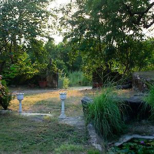 Titardi Garh- 18Th Century Castle Homestay Ουνταϊπούρ Exterior photo