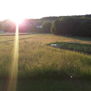 Ruhe Und Entspannung Βίλα Amesedt Exterior photo