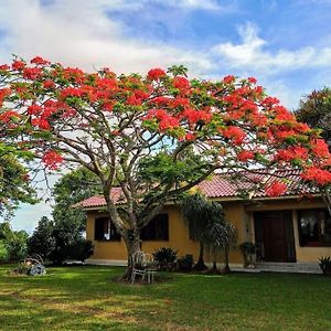 Casa De Campo Perto Do Recanto Maestro Βίλα Sao Joao do Polesine Exterior photo