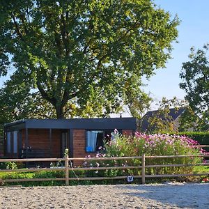 Houten Huisje Tussen Paarden Βίλα Nieuwerkerken Exterior photo