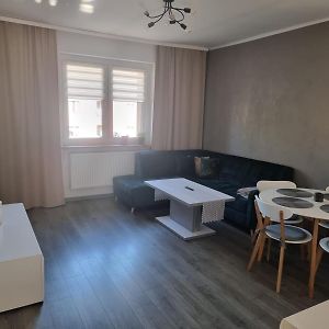 Apartament Pyskowice Centrum Διαμέρισμα Exterior photo