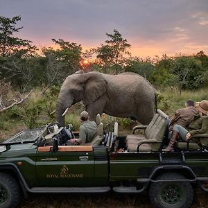 Royal Malewane Βίλα Καταφύγιο Άγριας Ζωής Thornybush Exterior photo