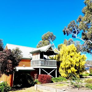 Native Garden Retreat Βίλα Gisborne Exterior photo