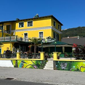 Johnys Jungle Bed and Breakfast Marbach an der Donau Exterior photo