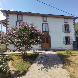 Maison D'Hotes Larraldia Bed and Breakfast Uhart-Cize Exterior photo