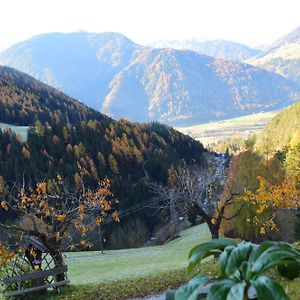 Martlerhof Urlaub Auf Dem Bauernhof Διαμέρισμα Campo di Trens Exterior photo