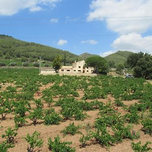 Casa Rural Cal Marti Βίλα El Pla de Manlleu Exterior photo