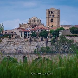 A Los Ojos Del Rio Duero Διαμέρισμα Θαμόρα Exterior photo