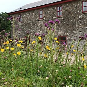 The Old Mill, Kilcorkey, Bellanagare, Castlerea, County Roscommon - West Of Ireland -House 1 Βίλα Exterior photo