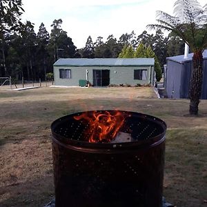 Cabin In The Tasmanian Bush - Tranquility! Διαμέρισμα Pipers River Exterior photo