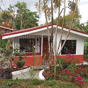 Casa Hummingbird Peace & Nature Βίλα Palmares  Exterior photo