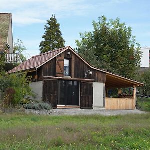 Tiny House Chez Claudine - Relaxen, Workspace, Naehe Thermen, Netflix, Free Parking & Wifi Βίλα Brugg  Exterior photo