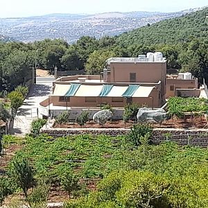 Wild Strawberry Farm Ajloun مزرعة القيقب عجلون Διαμέρισμα Ishtafayna Exterior photo